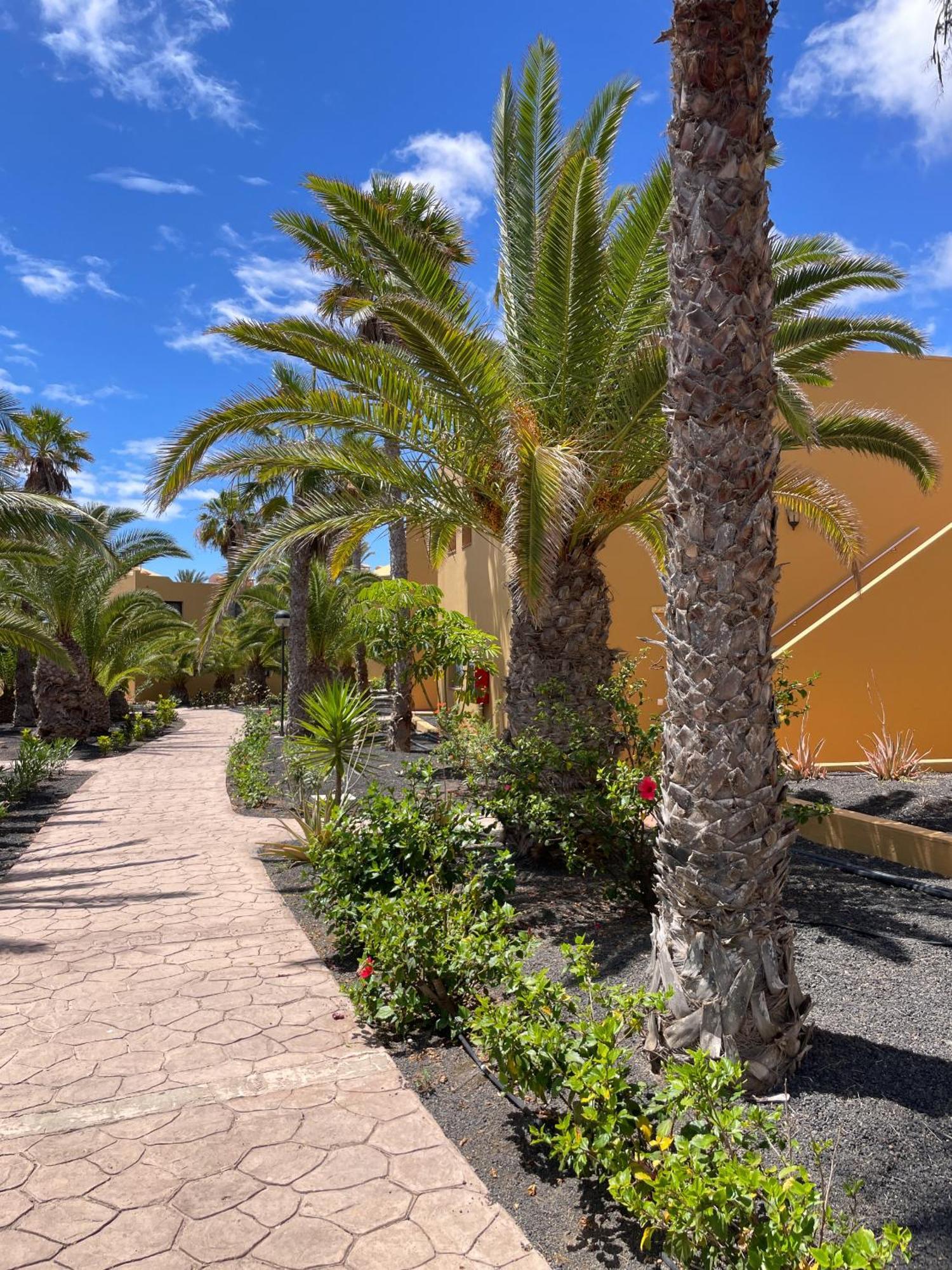 B-Rent Casa Angela Pool View Apartment Corralejo Luaran gambar
